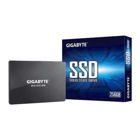 Gigabyte | GP-GSTFS31256GTND | RPM | 256 GB | SSD interface SATA | Read speed 520 MB/s | Write speed 500 MB/s